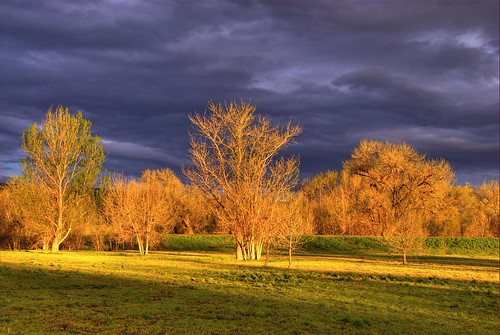 trees light sunlight lake color grass clouds landscape bravo colorado colorful shadows chatfield littleton 200705