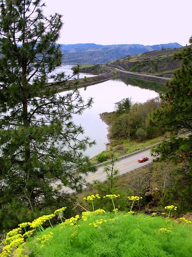 nature train spring highway view columbiariver