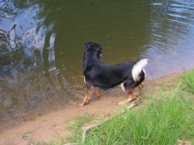 Max in de rivier