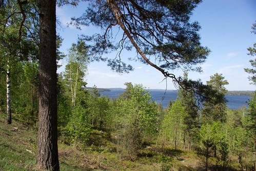 lake finland view maisema kangasala kuohunharju järvi vesijärvi