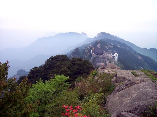 china trees mountains landscape vista 中国 anhui 安徽 九华山 jiuhuashan scenicreserve dvd3141 ©davidphunt