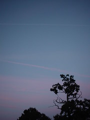 Evening Contrails - Photo of Lozon