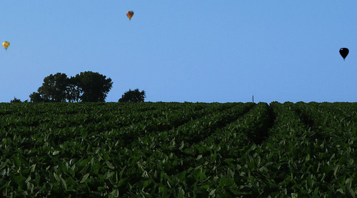 balloon farm field deleteme10
