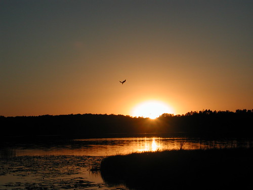 minnesota lake sunset littlebemidji