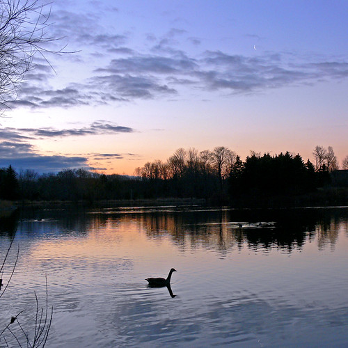 moon lake reflection sunrise geese searchthebest earlymorning naturesfinest loaferslake outstandingshots