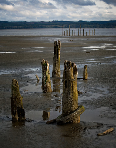 wood travel usa color colour reflection art tourism nature wet water colors vertical clouds river landscape outdoors bay daylight photo washington colours photographer unitedstates image outdoor decay scenic picture environmental nopeople location tires photograph shore pacificnorthwest northamerica environment pilings lowtide washingtonstate piling dramaticsky pnw lightroom graysharbor beautifuldecay westernwashington schnoor hoquiam simplelogic saywa experiencewa chehalisriver experiencewashington