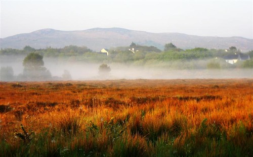ireland red mist nature fog sunrise landscape colours oughterard 230countriesireland vratsagirl