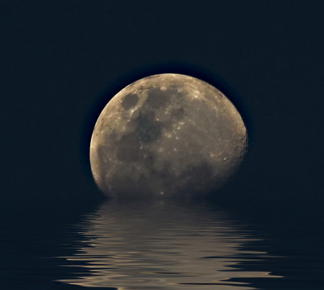 moon over the horizon | Flickr - Photo Sharing!