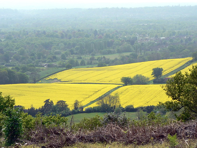 View from St. Martha's Hill