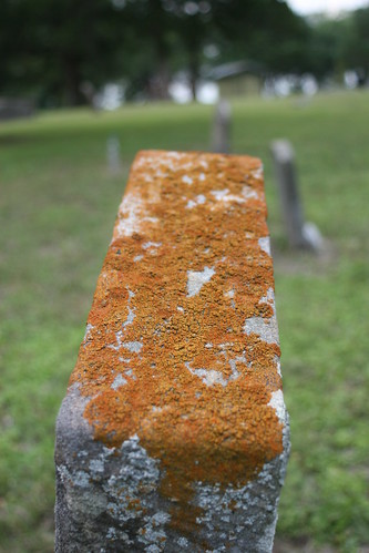 copyright orange history cemetery grave stone digital canon geotagged eos texas dof tx tombstone © location historic depthoffield historical lichen independence allrightsreserved mapped 30d allrightsreserved© unauthorizeduseprohibited unauthorizedusestrictlyprohibited allcommercialuseprohibited