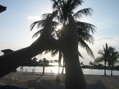 trees sunrise hands florida palmtrees homestead bayfrontpark