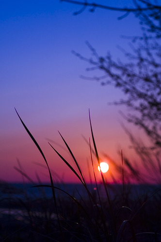 blue sunset sun lake colour beach grass purple huron dop lakehuron saublebeach bestsun