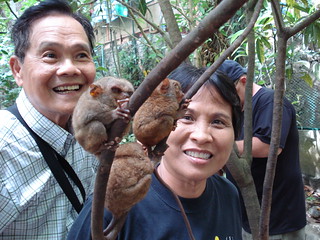 Tarsier Monkeys - Loboc, Bohol, Philippines