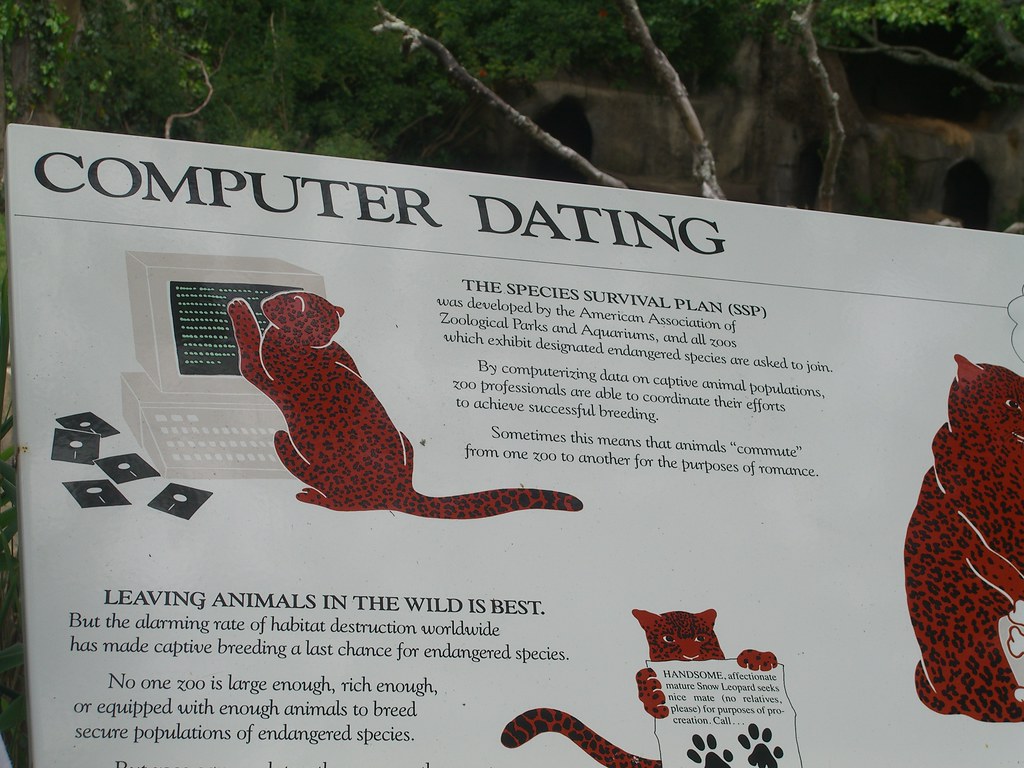 Zoo internet dating