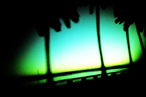 street travel sunset green film landscape lomo lca xpro xprocess kodak crossprocess candid grain lomolca nophotoshop asa200 mozambique maputo top20xpro crosspro crossproces ectachrome xrpocess ectachrom