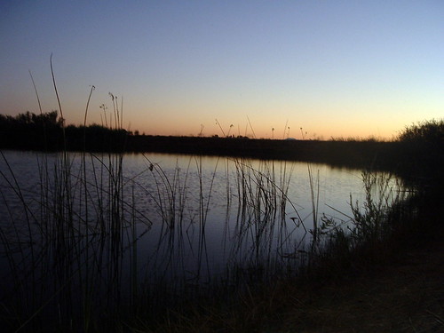 sunset night pond