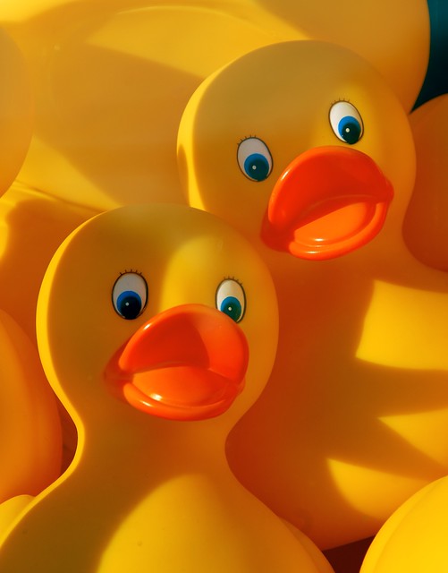 Paris Hilton Owns Too Many Giant Rubber Duck Rip-Offs