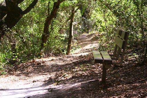 nature bench wildlife santarosaplateau