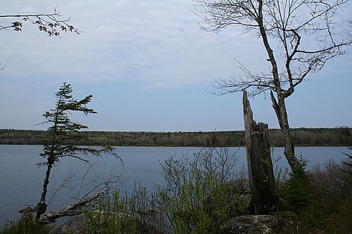 lake canada nature forest landscape geotagged novascotia canoneosdigitalrebelxt newross