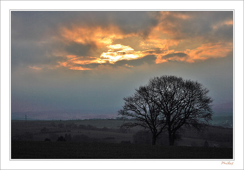 trees sun backlight clouds sunrise soleil belgium belgique arbres nuages paysage lanscape contrejour leverdesoleil