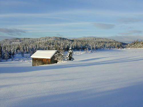 winter snow norway landscape vinter snø landskap oppland snertingdal