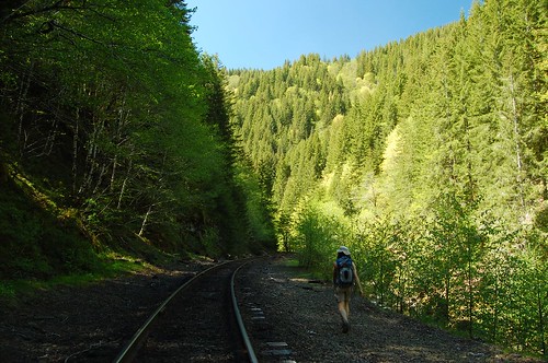 railroad trees oregon forest hiking tracks deborah coastrange salmonberryrivercanyon