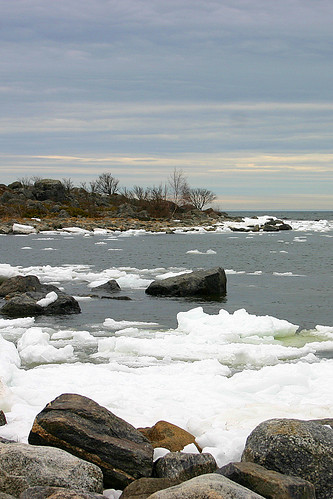 sea ice water suomi finland spring birch vaasa vasa mustasaari raippaluoto replot korsholm gulfofbothnia