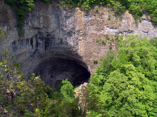 park trees cliff mountain rocks tunnel olympus virgina e500 naturaltunnel naturaltunnelstatepark