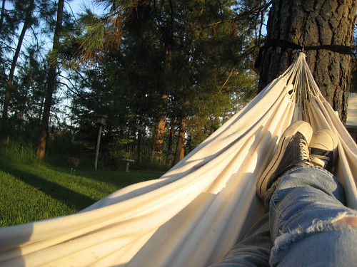 trees tree self myfeet oldshoes viewfrommyhammock