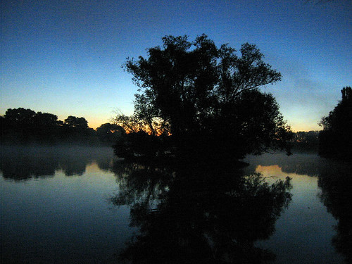 bielefeld morgenstimmung baum see lake sunrise obersee