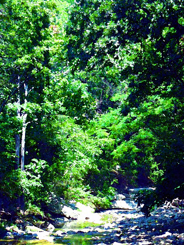 2005 summer nature dallas texas oakcliff whatknot