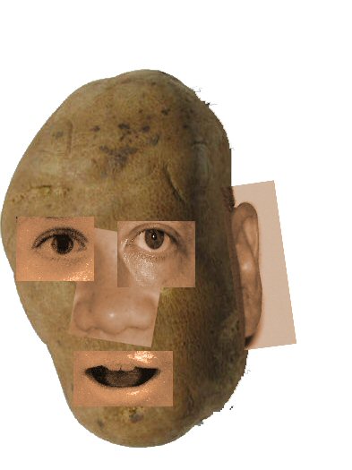 potatohead