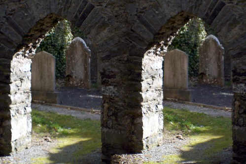 ireland irish graveyard stereoscopic stereogram stereophoto stereophotography 3d graves stereo stereograph tombstones parallel gravestones loreo
