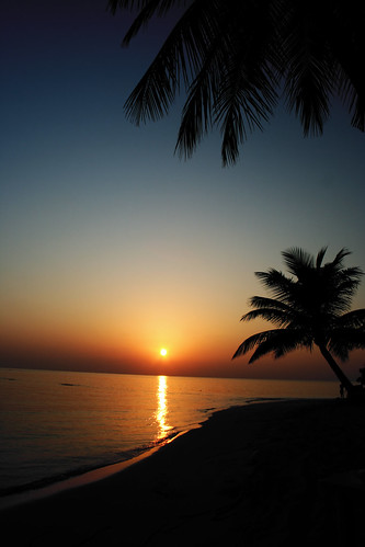 sunset silhouette geotagged indianocean palm maldives fihalhohi geo:lat=3876779 geo:lon=73365283