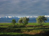 Kyrgyz Alatau Range, Kyrgyzstan, Central Asia