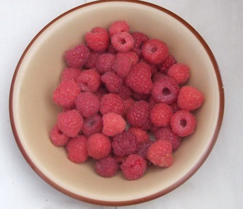 Image of raspberry by AuntyMarion