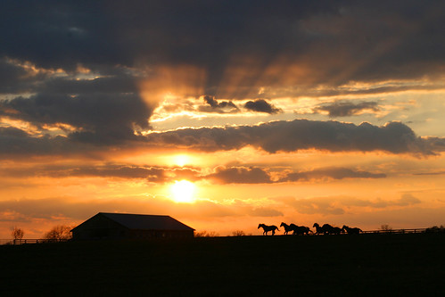 sunset horse clouds rays