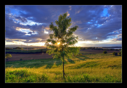 sunset sky tree field montepulciano albero hdr chiusi castiglionedellago naturesfinest sonyr1 colorphotoaward isawyoufirst flickrelite agritusrismopoggiovaccaio