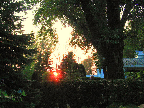 sunset summer restaurant inn 2006 été spa auberge coucherdusoleil privategarden jardinprivé mimosamichemichelle michellebéchardlalonde ✿img2781mf ⌘⌘montérégie ⌘saintmarcsurrichelieu ⌘⌘rivesudsouthshore ⌘⌘⌘⌘canada ⌘⌘⌘québec