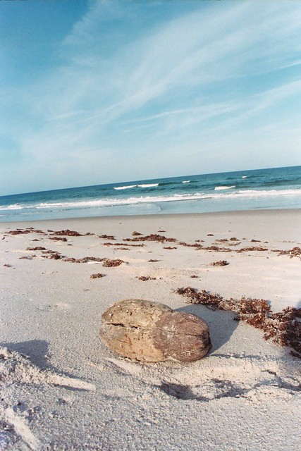 Haulover Beach South Florida | Flickr - Photo Sharing!