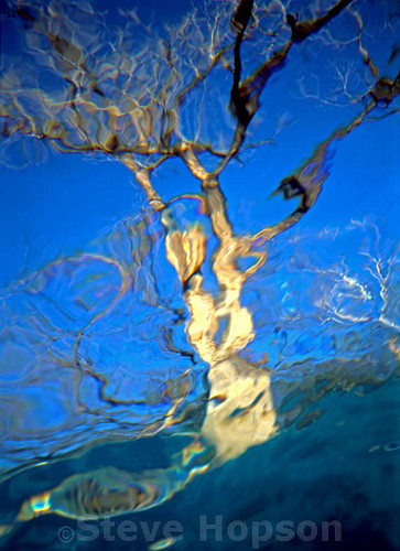 underwaterphotography deepeddypool newamericantalent austin water aquasnappy swimming swimmingpool cottonwood6 ripples texaslandcapes deepeddy fujivelvia stevehopson usa canon cottonwood underwaterphoto geotagged
