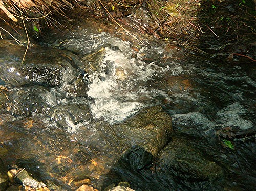 water creek georgia pollution woodstock development diaster noonday