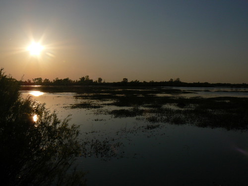 sunset ohio nature landscape outdoors wildlife ottawa national marsh refuge onwr