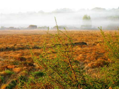 ireland red mist nature fog sunrise landscape colours oughterard vratsagirl