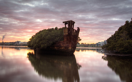 old abandoned shipwreck mangroves hdr homebush
