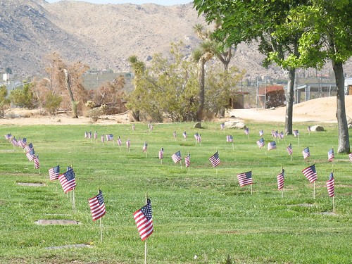 usa holiday cemetery graves patriotism memorialday