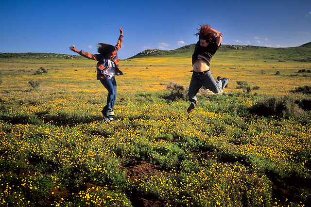 frolicking-flickr-photo-sharing