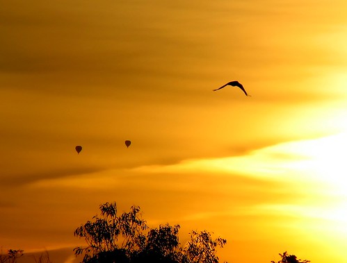 hot bird sunrise balloons air australia melbourne victoria mountainviewroad scoreme interestingness454 3088 scoreme42 briarhill criticalmasses cm77 cm077 explore16may06