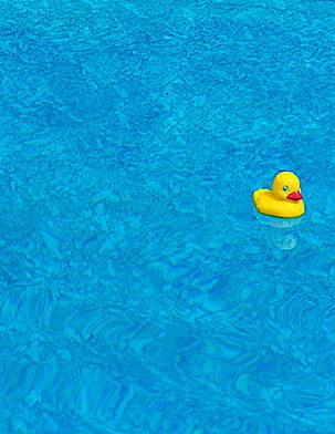 blue summer pool beautiful june yellow topv111 duck backyard 10 kentucky award fave explore 500 invite 1on1 westernkentucky unioncountyky morganfieldky momanddadshouse 2on2 lovephotography 1on1objects p1f1 5for2 123f1 bfv1 ci33 123ndpl top20blue exploreformyspacestation bestofformyspacestation