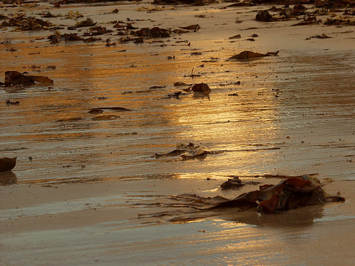 light sunset sea france reflection beach brittany bretagne breizh christian olympuse20 0x7d6343